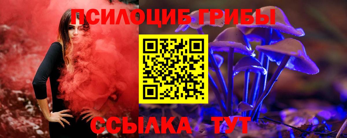Псилоцибиновые грибы мицелий Ступино